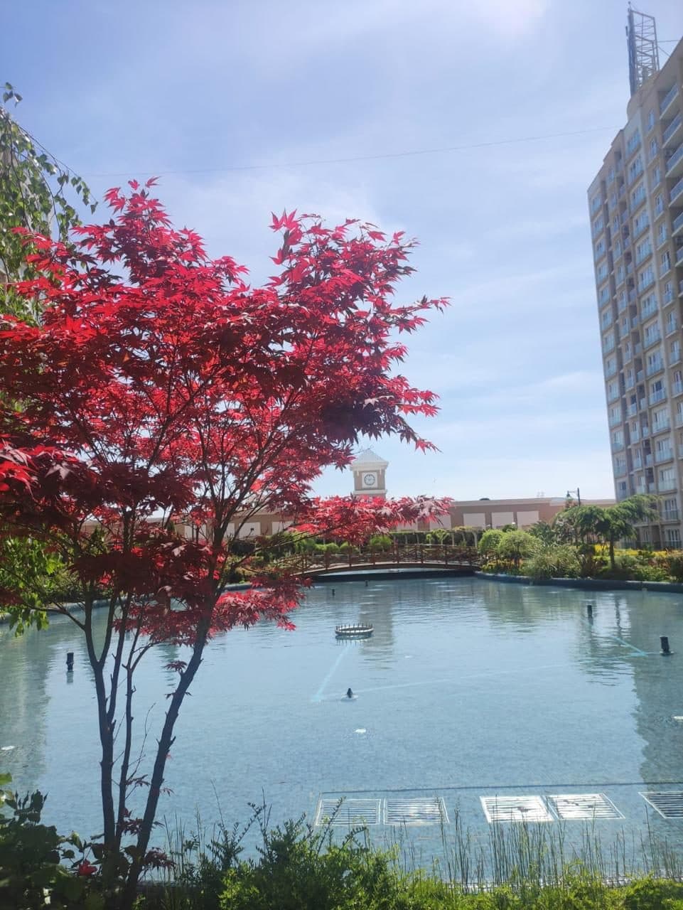 Avrupa Konutları 3 Kiralık Eşyalı 1+1 Daire - Fotoğraf 1