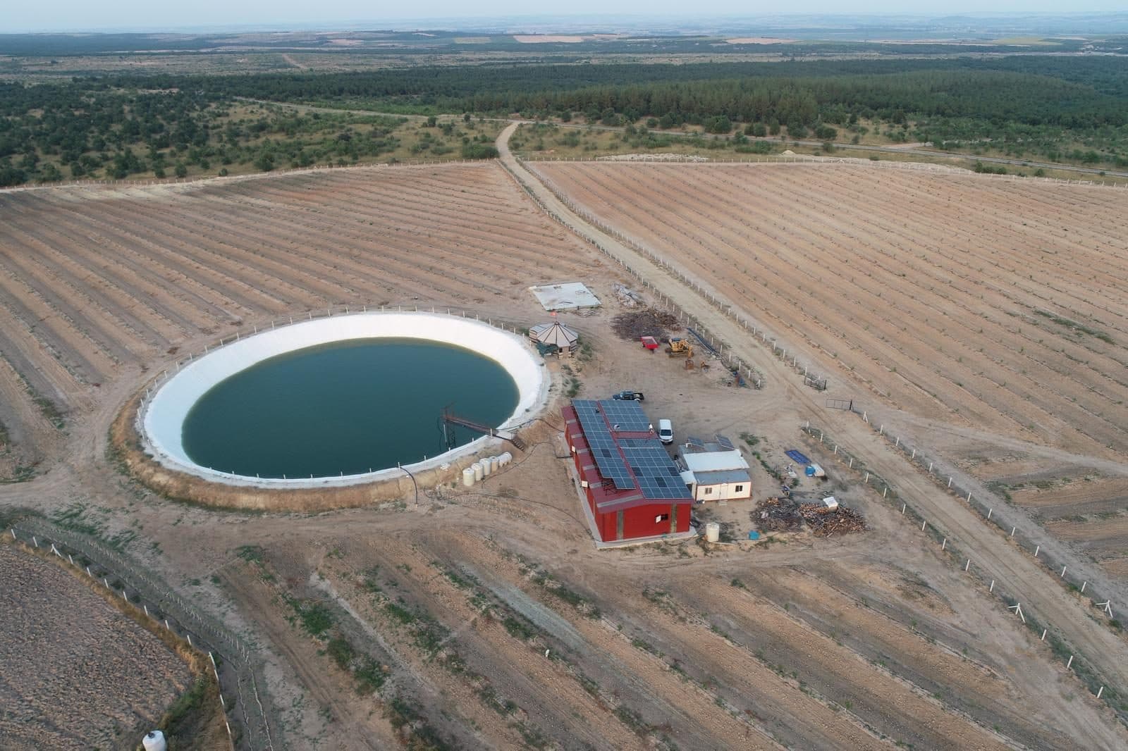 500 Dönüm Ceviz Tarlası - Fotoğraf 1